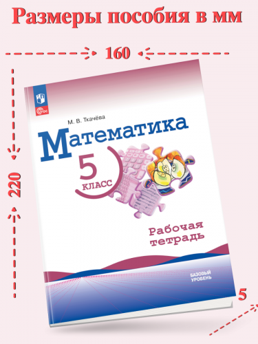 Ткачёва Математика 5 класс Базовый уровень Рабочая тетрадь